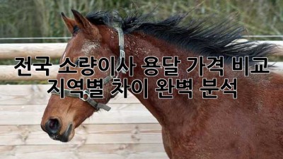 전국 소량이사 용달 가격 비교 🚚💰 지역별 차이 완벽 분석!